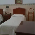 Nuevo *