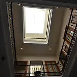 Nuevo