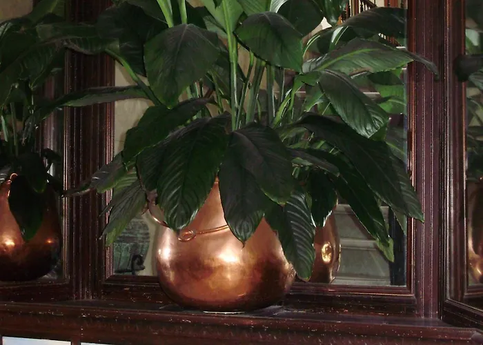 מלון Nuevo חרז